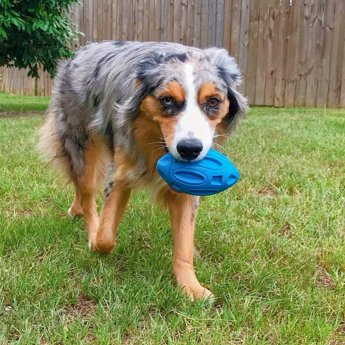 Squeaky Dog Toys for Aggressive Chewers: Rubber Puppy Chew Ball with Squeaker, Almost Indestructible and Durable Pet Toy for Medium and Large Breed